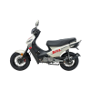 Thumbnail MOTO KENTON BLITZ 125 SPORT BLANC - CHAPA 509ACAP0